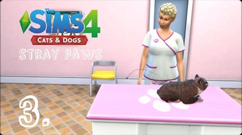 Sims 4 Paws