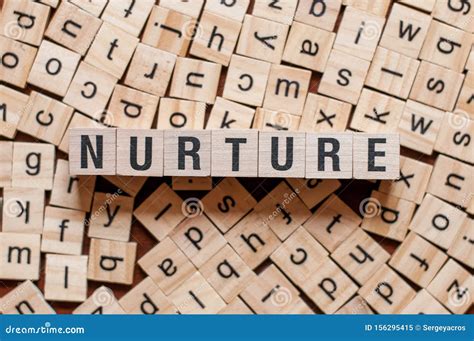 The Word Of Nurture On Building Blocks Concept Stock Image Image Of