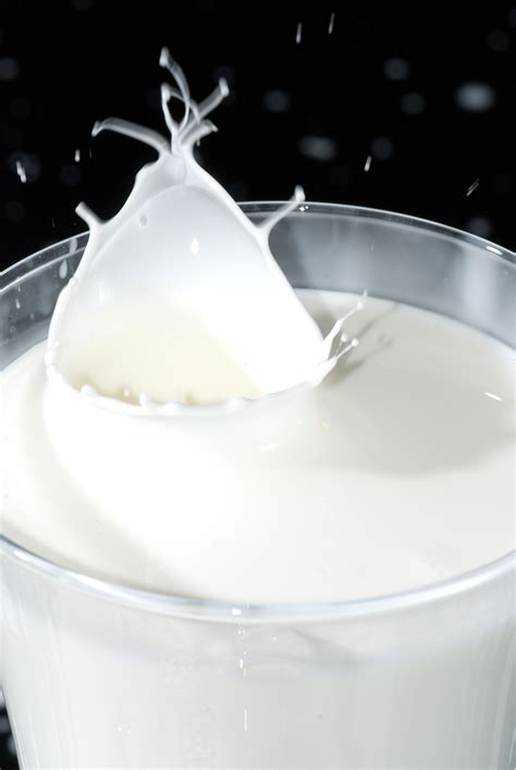 Low fat dairy products lately there has been quite a buzz about the health benefits of low fat dairy products and the big push to get 3 servings of a day of low fat dairy products. List of dairy products - Wikipedia