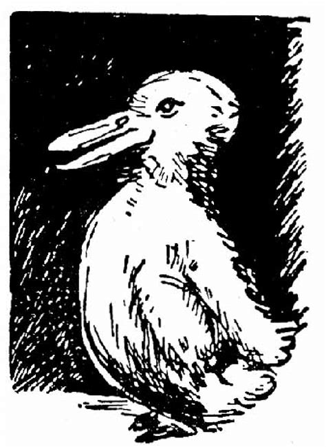 The Duck Rabbit Illusion Is A Classic Example Of A Download