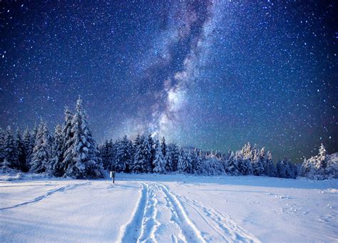 Starry Sky Over Winter Forest