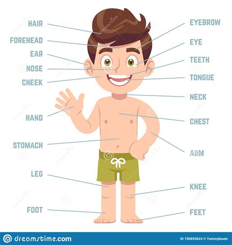 Child Body Parts Boy With Eye Nose And Mouth Hair Ear