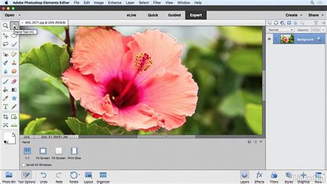 14 Photoshop Elements Tutorials To Try Today Creative Bloq