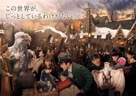 The Wizarding World Of Harry Potter Magical Creatures Encounter At