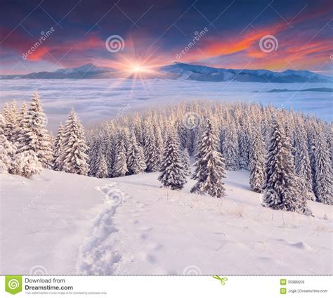 Beautiful Winter Sunrise In Mountains Stock Image Image