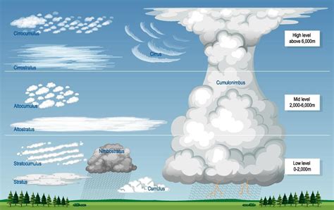 The Different Types Of Clouds With Names And Sky Levels 2906657 Vector
