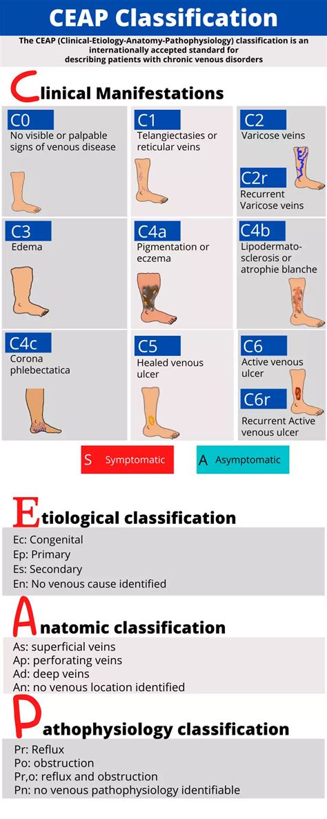 Understanding Ceap Classification