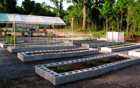 Florida Raised Beds Gardens Growin Crazy Acres