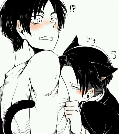 Eren X Levi Shingeki No Kyojin Attack On Titan Ereri