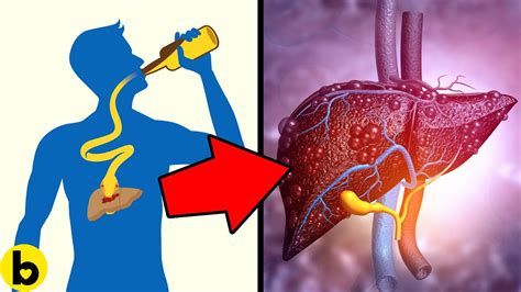 This Happens To Your Body Right After Drinking Alcohol Youtube