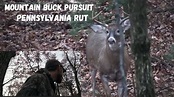Mountain Buck Pursuit During The Pennsylvania Rut - YouTube