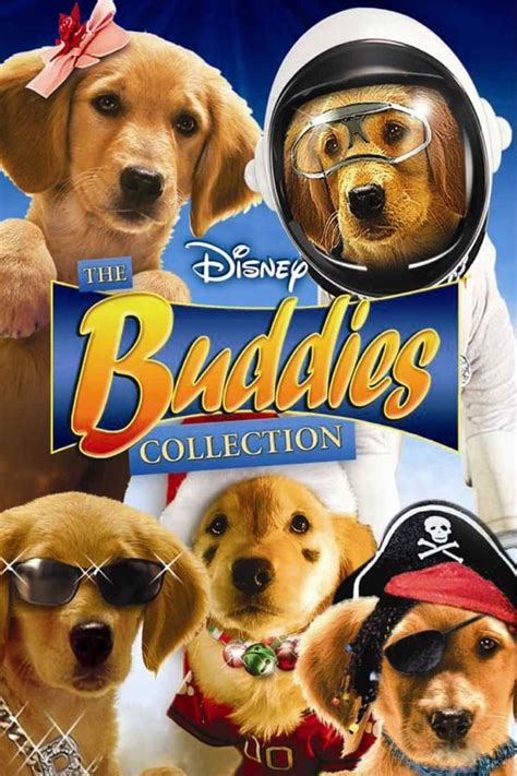 Disney Buddies Collection — The Movie Database Tmdb