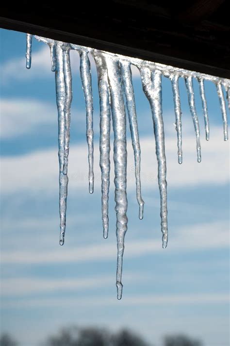 Gorgeous Melting Icicles Stock Image Image Of Drop Cold 23857229