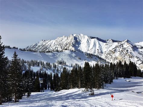 Katie Wanders : Alta Ski Resort- Utah