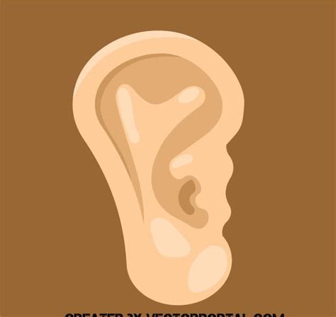 Human Ear Vector Clip Art Eps Ai Uidownload