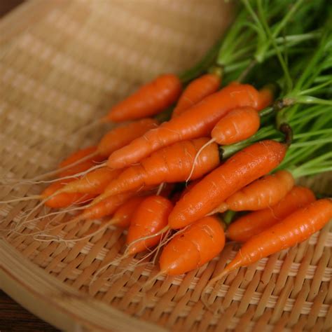 Baby Carrot Nutrition Calories And Pictures