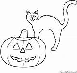 Halloween Coloring Cat Pumpkin Happy Lantern Jack sketch template