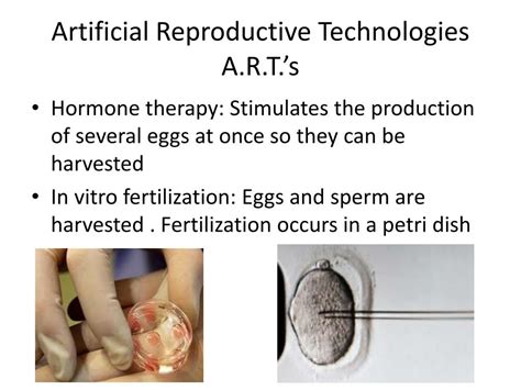 ppt reproduction and artificial reproductive technologies powerpoint presentation id 2835378