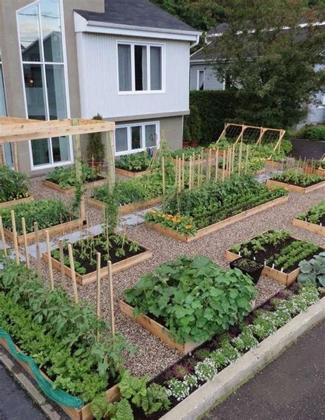 Vegetable Gardens My Uncommon Slice Of Suburbia Garden Layout