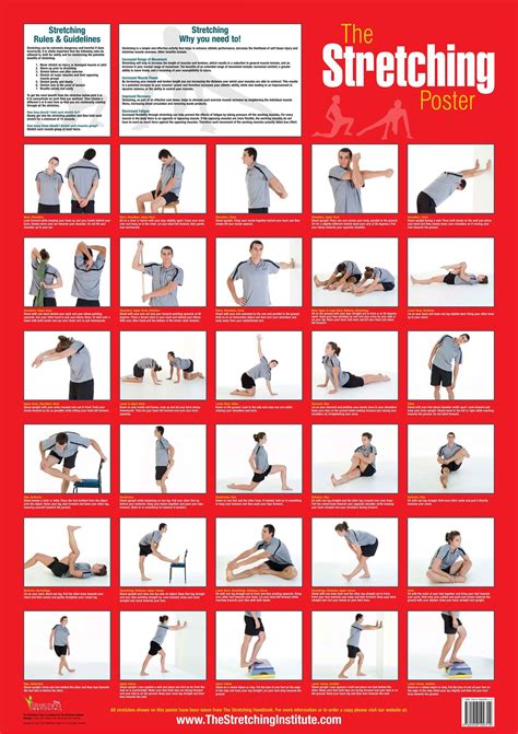 The Stretching Poster Various Key Stretches For The Entire Body For A