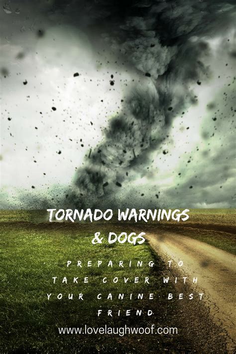 Tornado Warnings And Dogs Preparing To Take Cover With Your Canine Best