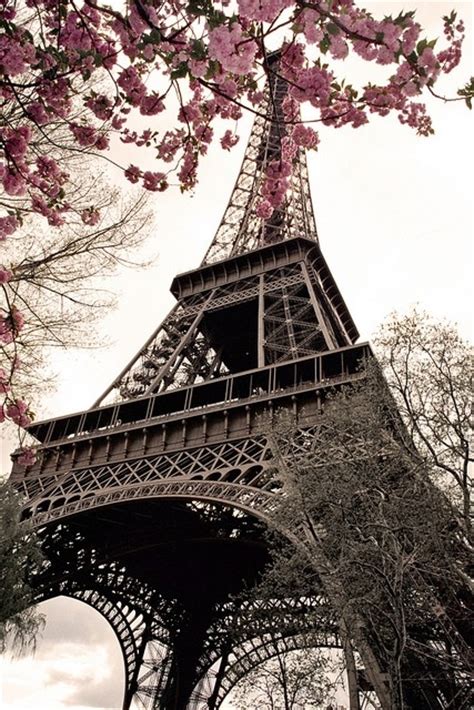 Love Quotes With Eiffel Tower Quotesgram