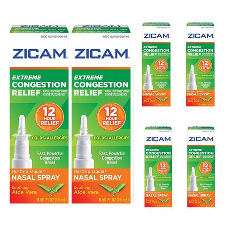 Zicam Extreme Congestion Relief Liquid Nasal Spray 050 Ounces Pack Of 6 Health