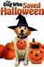 ‎The Dog Who Saved Halloween (2011) directed by Peter Sullivan ...