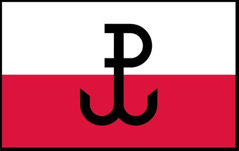 Grzywna za patriotyczną pałkę. Zdaniem sądu w Szczecinie znak Polski ...