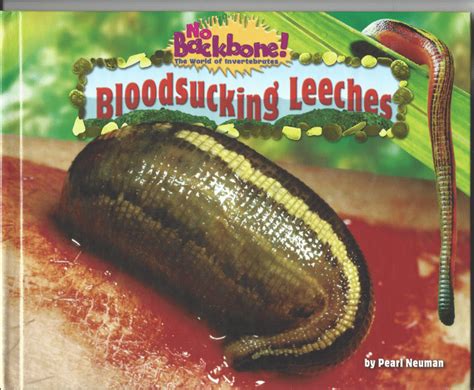 Pdf Bloodsucking Leeches