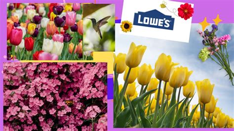 Lowes Garden Center Beautiful Spring Summer Flowers For Your Garden
