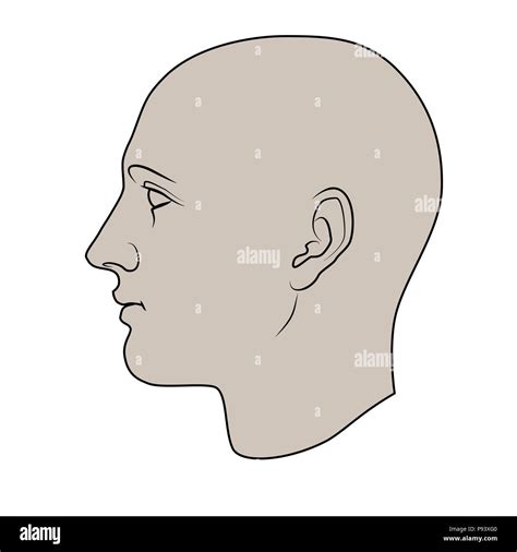 Hand Drawn Human Head In Profile Colorable Flat Vector Isolated On