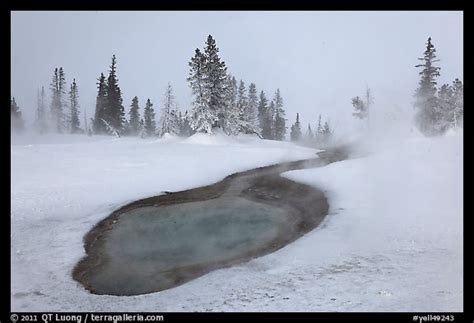 Picturephoto Thermal Pool In Winter West Thumb Geyser Basin