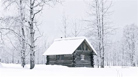 Winter Snow Woods British Columbia Cabin Logs Wallpapers Hd
