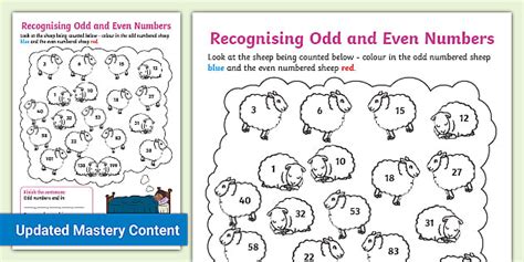 Recognizing Odd And Even Numbers Worksheet Worksheet