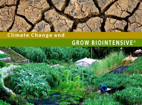 Digging Deeper 6 Climate Change And Grow Biointensive John Jeavons