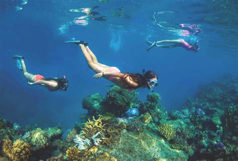 Fiji Cruising A Dive Lovers Dream Pacific Island Living Travel Tourism Guide