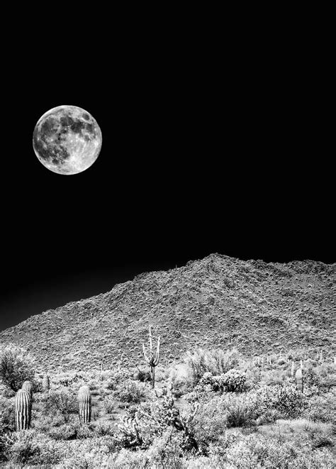 Arizona Sonora Desert Moon In Infrared Monochrome Photograph By Paul Moore