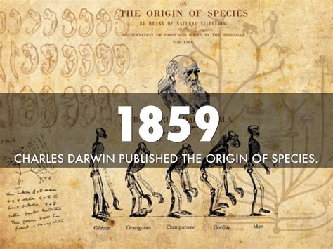 Charles Darwin Timeline By Bryce White By Toni White