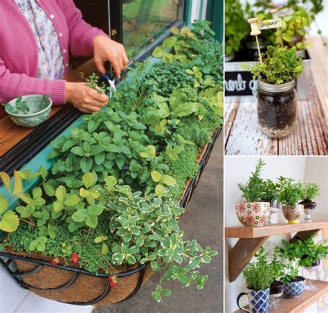 12 Cool Small Herb Gardens That Wont Take Much Space