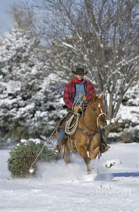 Cowboy Christmas Cowboy Christmas Horses Christmas Photograph