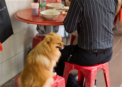 Dog-friendly restaurants - Eat Out