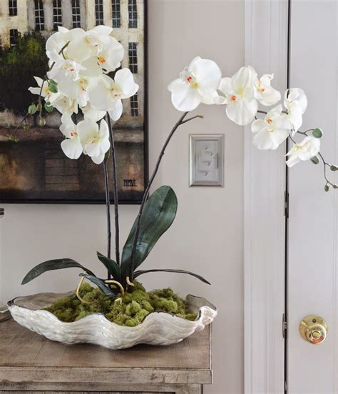Orchids In A Shell Diy Stonegable Indoor Orchids Orchid Pot Diy