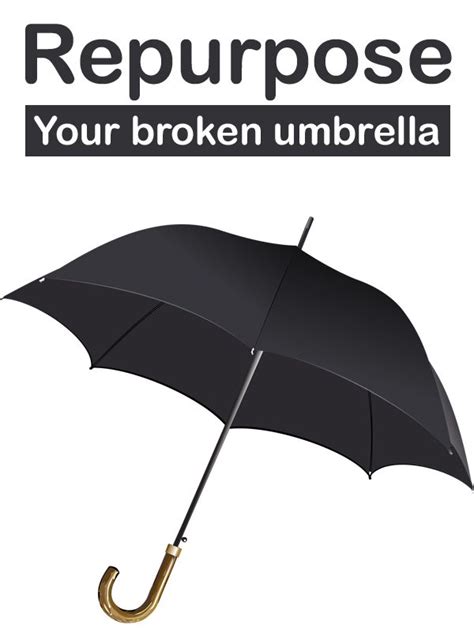 8 Easy Ways To Repurpose Your Broken Umbrella Umbrella Umbrella
