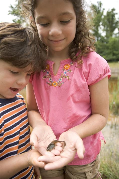 Filechildren Young Wikimedia Commons