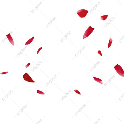 Floating Petals Png Transparent Floating Petals Cartoon Hand Drawn