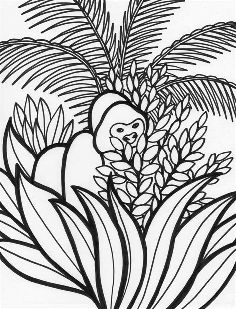 Simple Tropical Rainforest Coloring Page Coloring Pages Hot Sex Picture