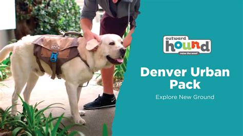 Denver Urban Pack Outward Hound Youtube