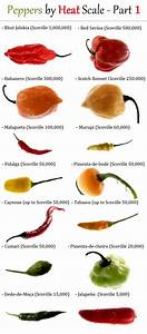 54 Best Spice Chiles Images On Pinterest Chili Chilis And Spice
