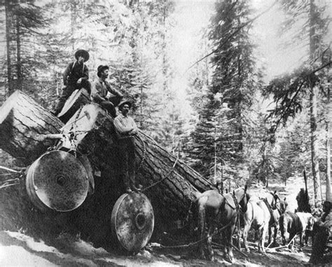 Early Michigan Teamsters Logging In 1910 Michigan Travel West Michigan